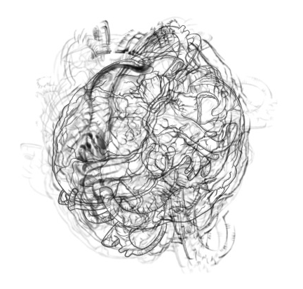 The Heart-Mind | Le cœur – cerveau